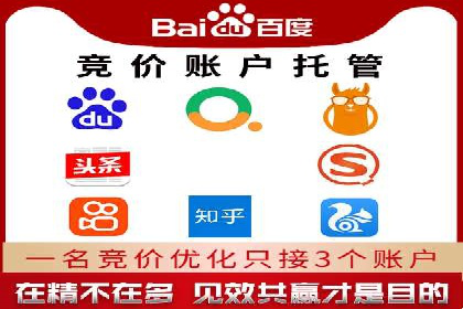 搜索引擎营销（SEM）服务案例分享